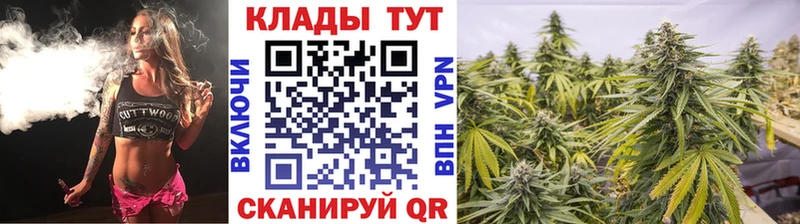 Где купить наркотики Новый Оскол Кокаин  Гашиш  Конопля 
