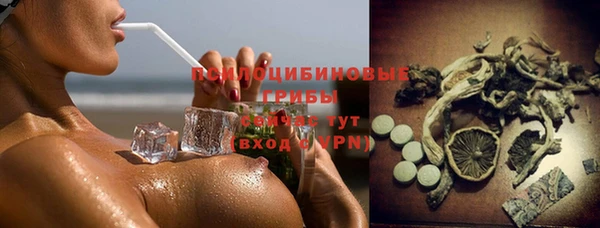 apvp Володарск