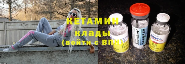 шишки Тында