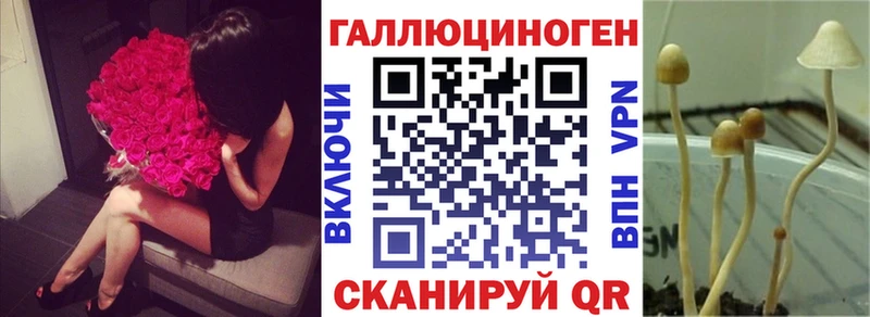 Галлюциногенные грибы Cubensis  цена наркотик  мега зеркало  Новый Оскол 