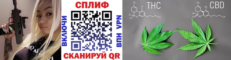 Шишки марихуана планчик  Новый Оскол 